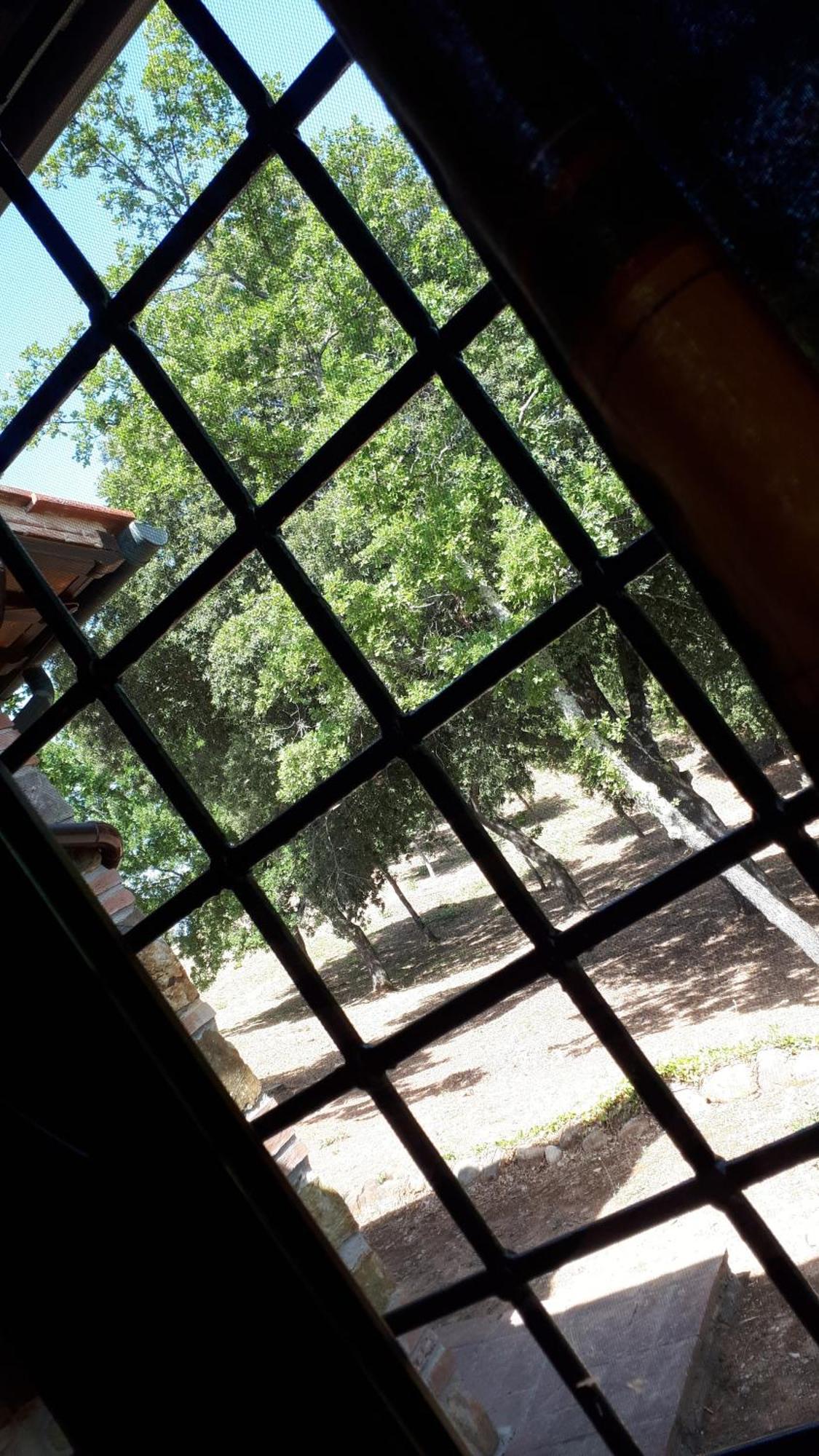 Agriturismo Podere San Lorenzo 1866 Massa Marittima Eksteriør bilde