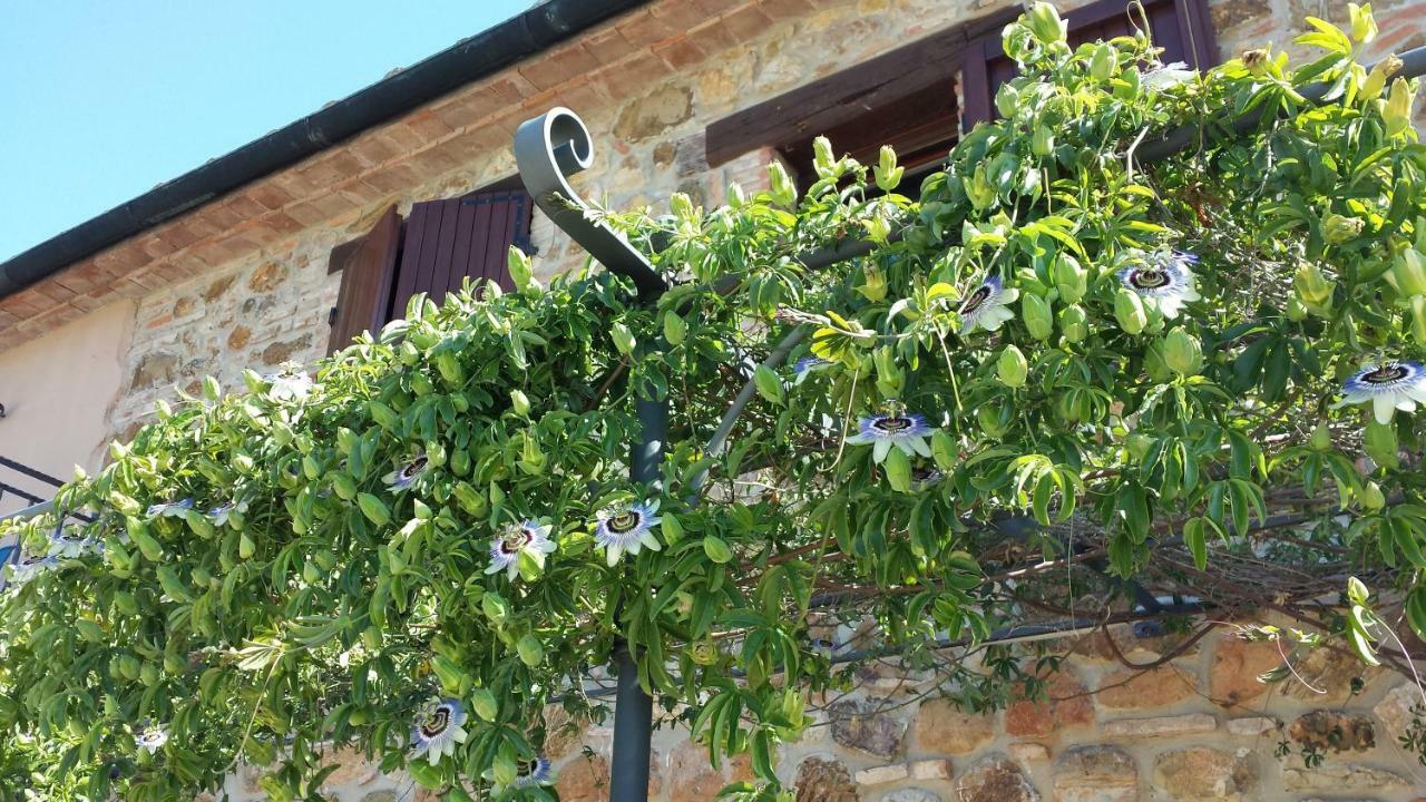 Agriturismo Podere San Lorenzo 1866 Massa Marittima Eksteriør bilde